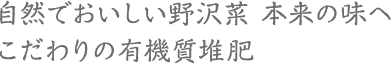 自然でおいしい野沢菜 本来の味へ　こだわりの有機質堆肥