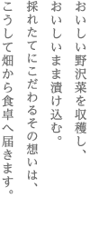 おいしい野沢菜を収穫し、　おいしいまま漬け込む。　採れたてにこだわるその想いは、　こうして畑から食卓へ届きます。